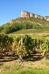 domaines 2 - Photo